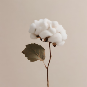 Fondant parfumé artisanal Fleur de Coton aux notes fraîches et florales de bergamote, muguet et musc