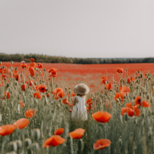 fondant parfumé Coquelicot en cire végétale naturelle